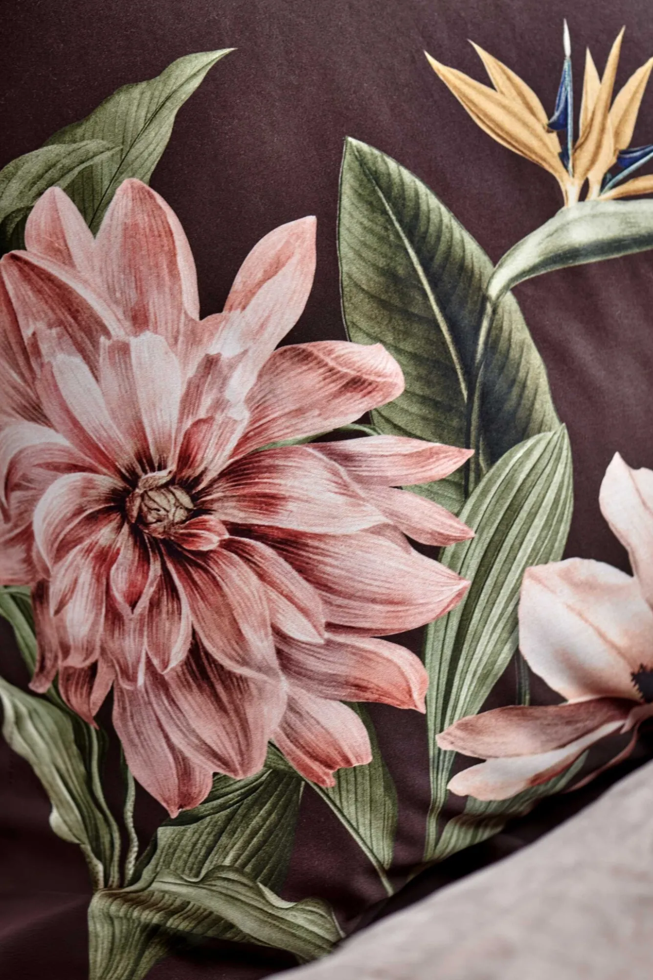 Vandyck Vandyck PARADISE BLOOM duvet cover Dark Chocolate 200x220 cm